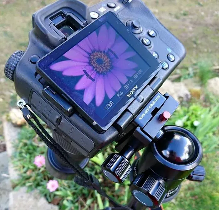 photographe professionnel près de Morlaix