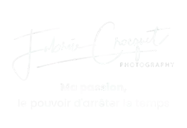 FABRICE-CROCQUET-PHOTOGRAPHY-photographe-quimper-FABRICE-CROCQUET-PHOTOGRAPHY-photographe-quimper-lo-removebg-preview